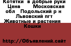 Котятки- в добрые руки › Цена ­ 1 - Московская обл., Подольский р-н, Львовский пгт Животные и растения » Кошки   